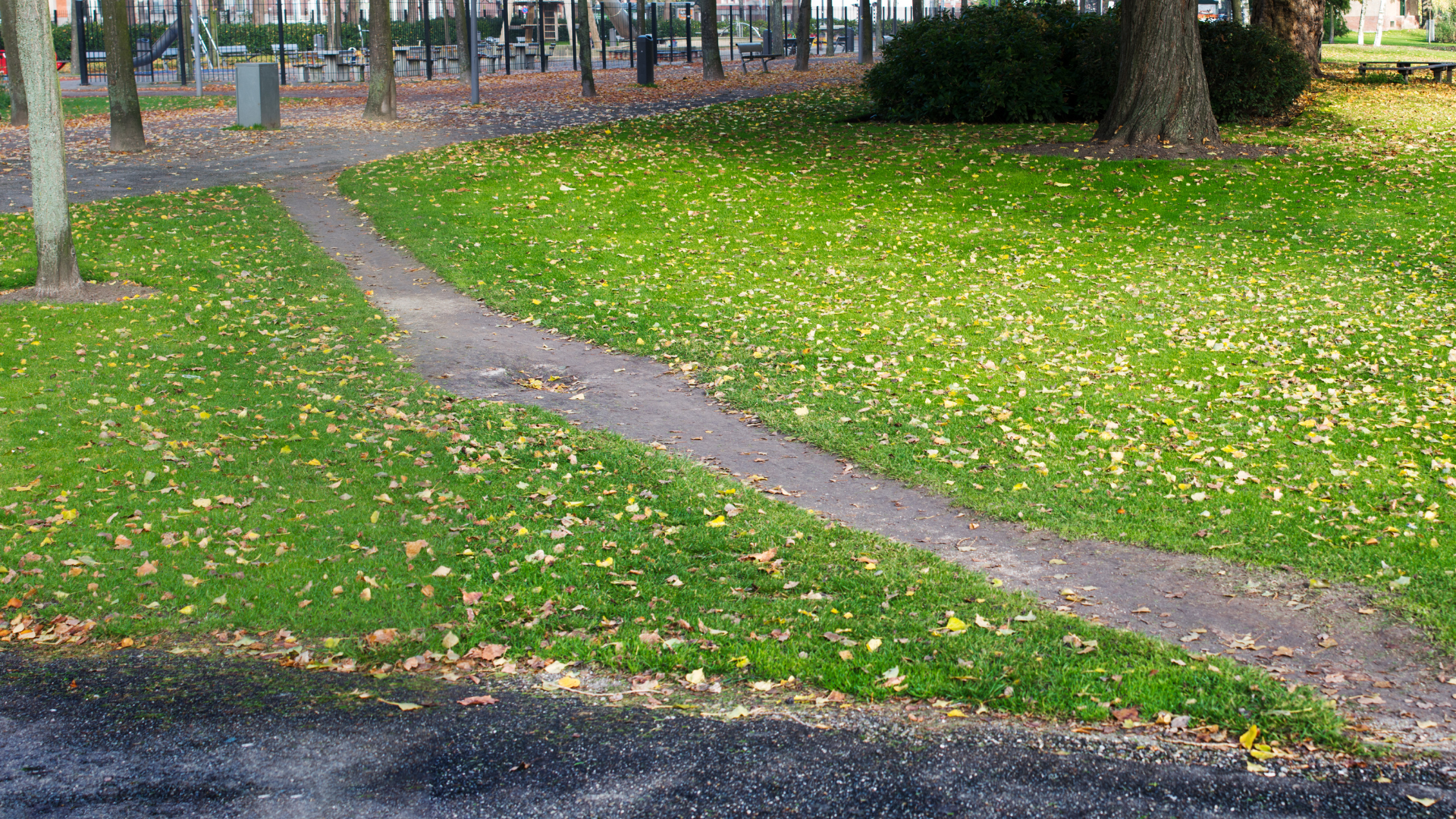 Desire Paths: dalla Città delle auto, alla Città dei Sapiens